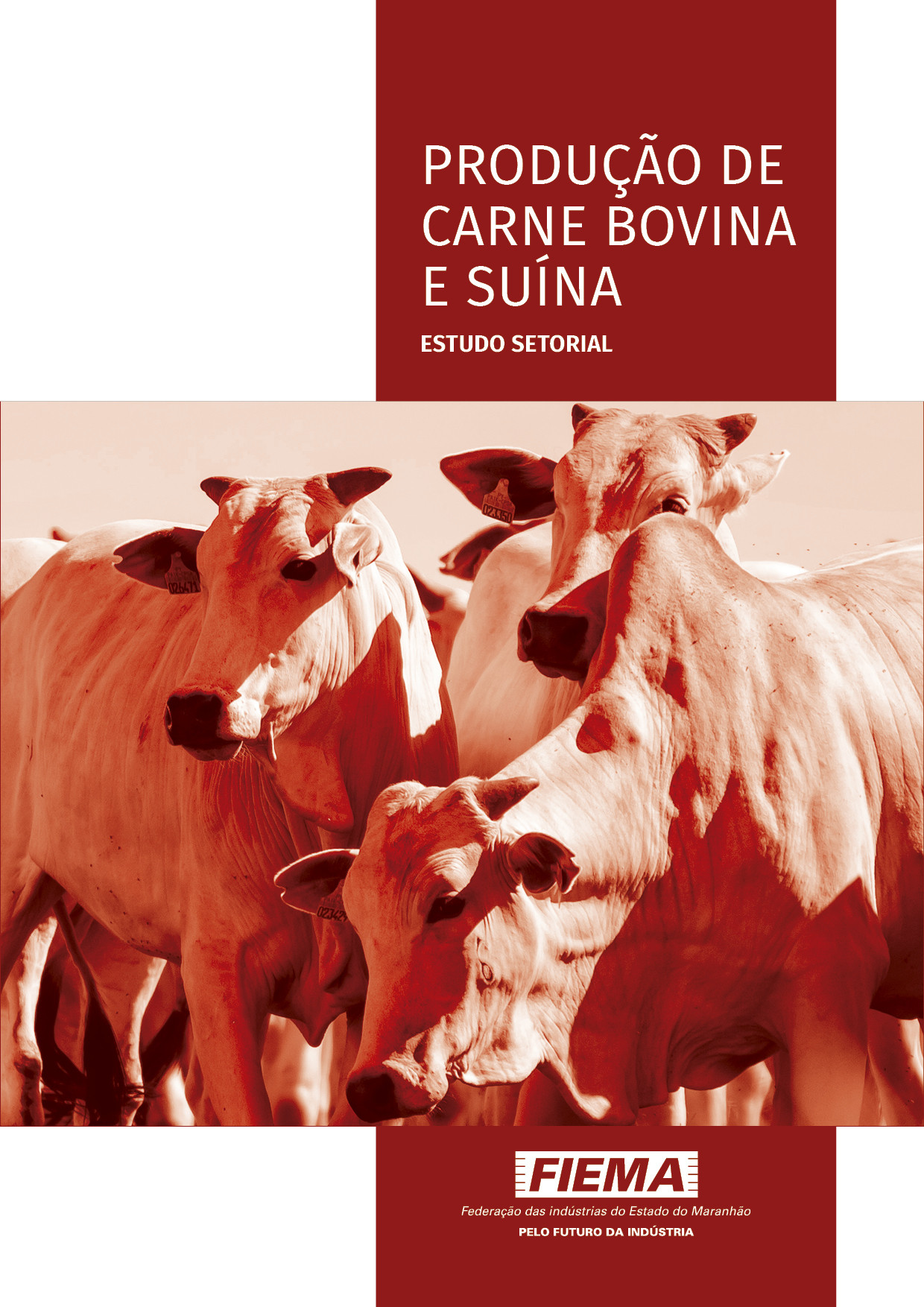 Estudo Setorial - Produção de Carne Bovina e Suína